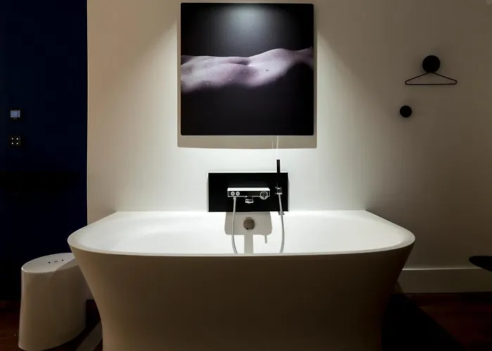Mihotel Vieux * 里昂